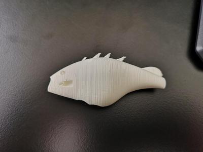 Fishing Lure