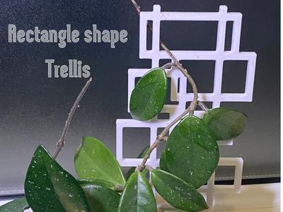 Rectangle shape trellis