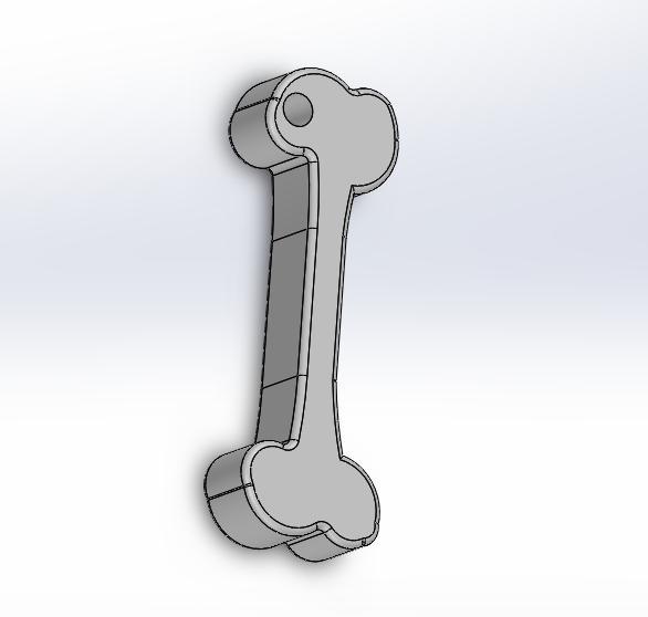 BONE KEYCHAIN