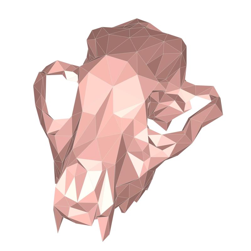 Wolf skull low poly
