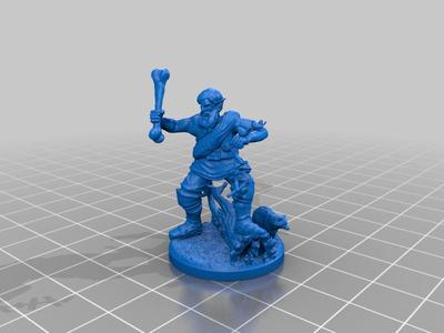 Fulborg Druid