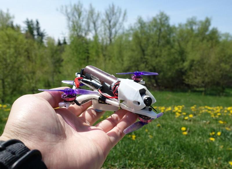 Toronto Micro Marathoner