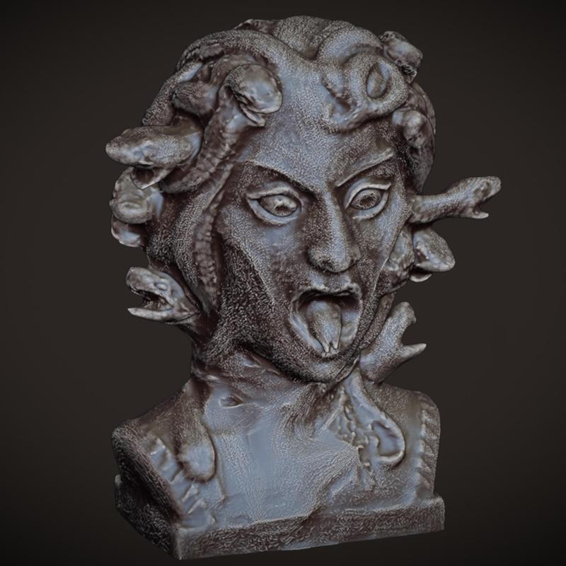 Medusa with Snake