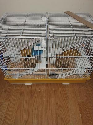 Escada para Hamster