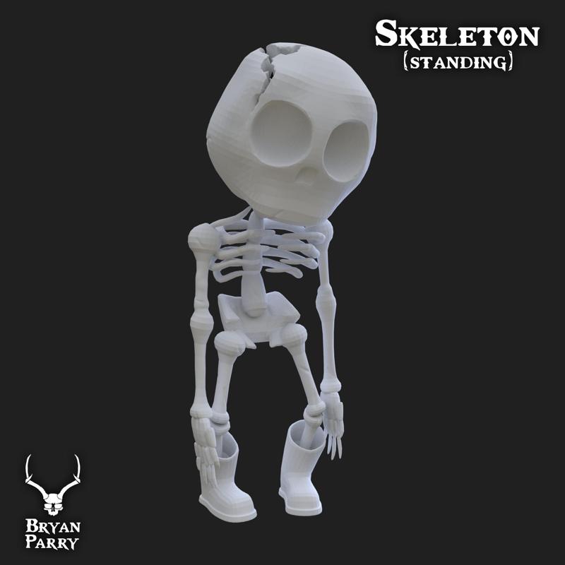 Skeleton (standing)