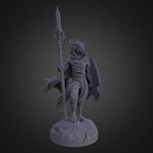 Dragonborn Female Warrior (2 Poses)