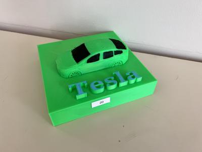 tesla model pip
