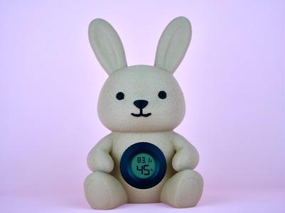 Bunny Climate Officer
