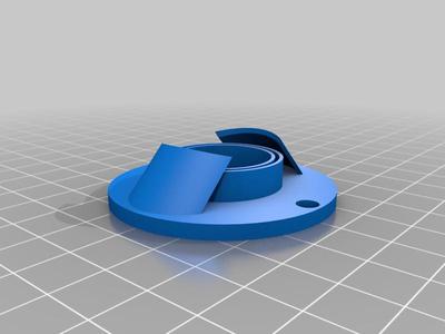 capForPrinting2