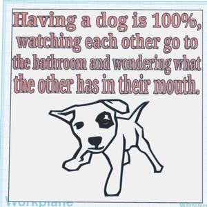 Having a Dog Sign