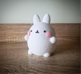 Cute chubby bunny