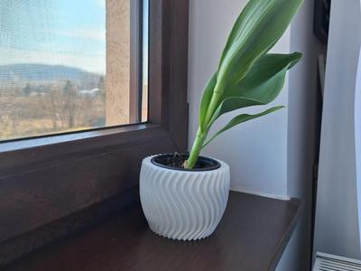 plant pot