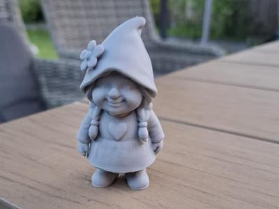 Flower-Heart Gnome