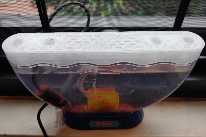 Ocean Treasure Lid