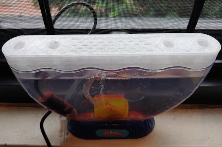 Ocean Treasure Lid