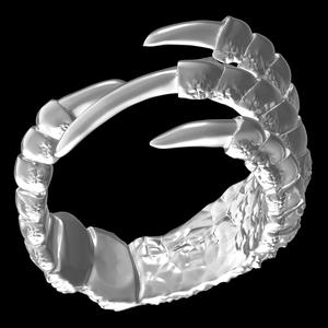 Eagle Paws Ring