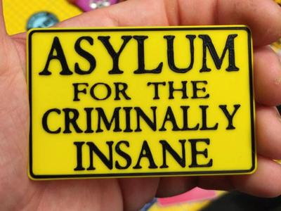 Asylum for the criminally insane