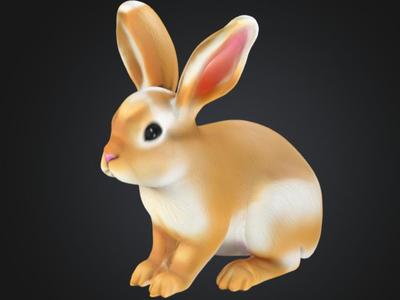 Rabbit 