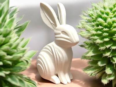 Abstract Rabbit