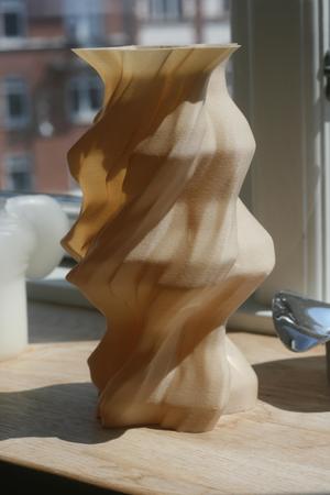 Curved organic two face vase