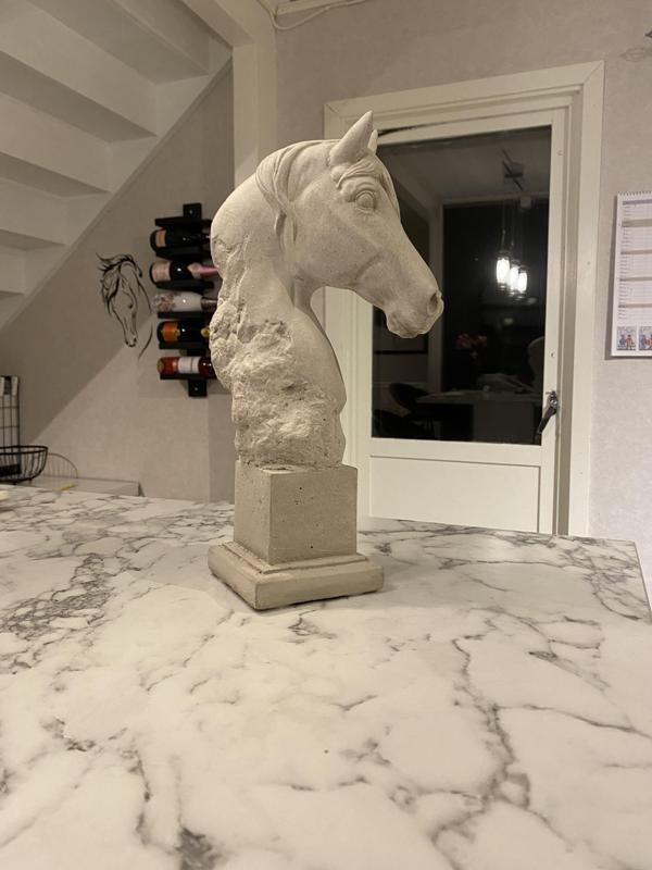 Scanned Horse Head