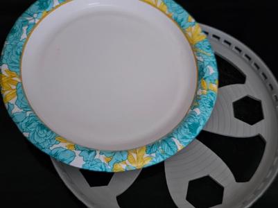 Paper Plate Support