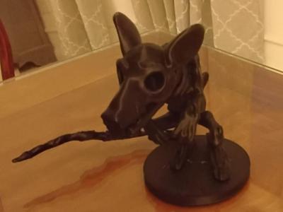 Skeleton Rat