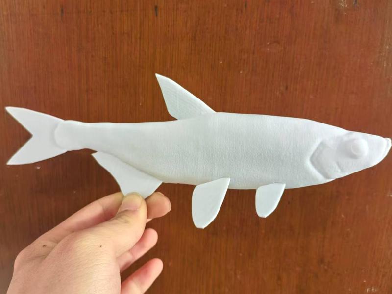 High-finned Bleak Erythroculter ilishaeformis