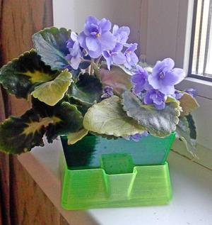 Flower pot with bottom watering & Self-Watering