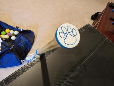 Lacrosse Endcap V2 with variations