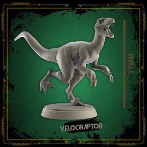 VELOCIRAPTOR