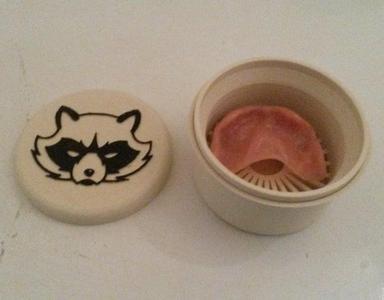 Denture cleaning box with Picture 