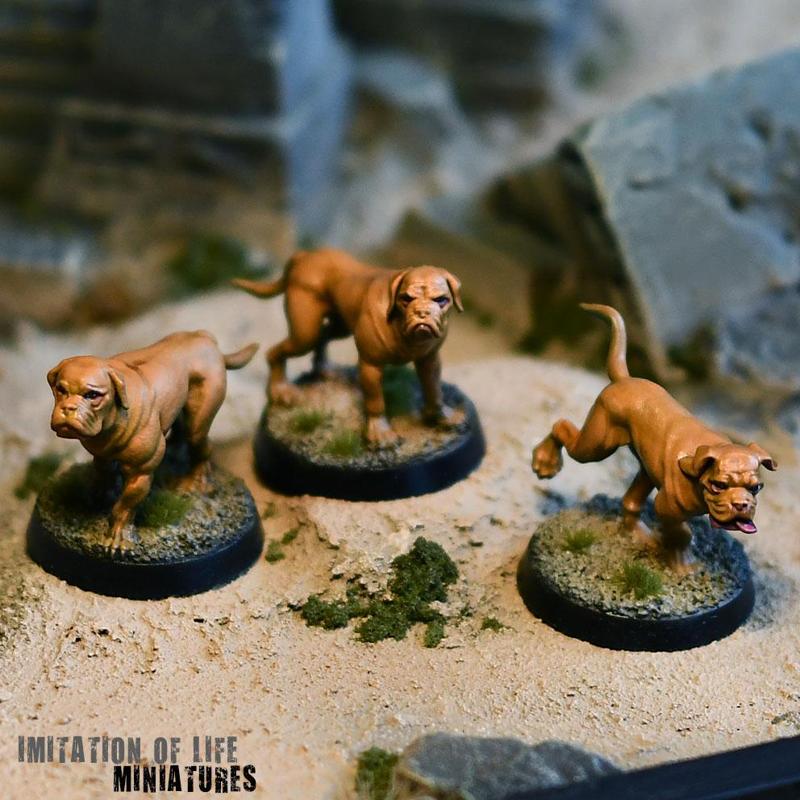 French mastiffs