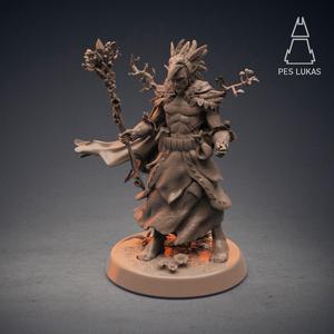 Elf Druid