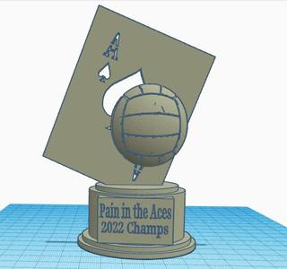 Volleyball Trophy