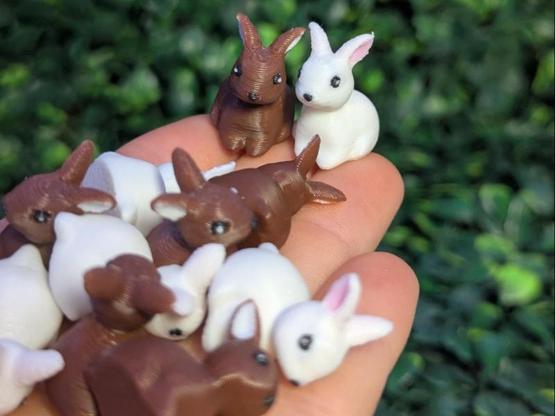 Cute Tiny Bunnysss