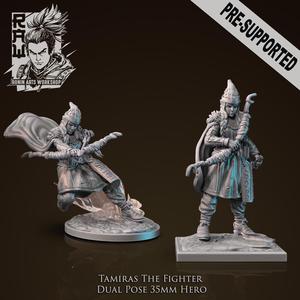 Tamiras The Fighter - Idle and Action Pose