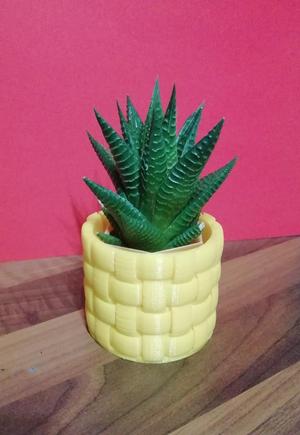 Flower Pot