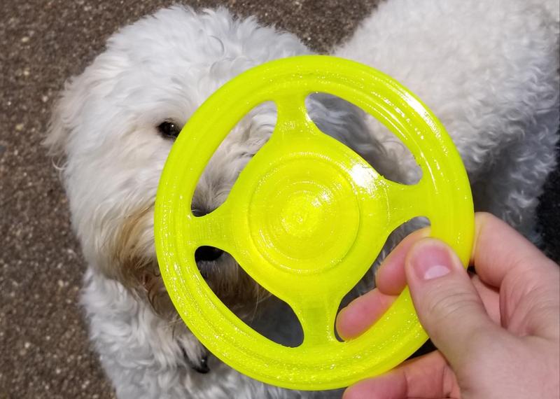 Frisbee