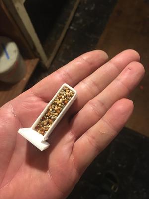 Canary feeder between the wires