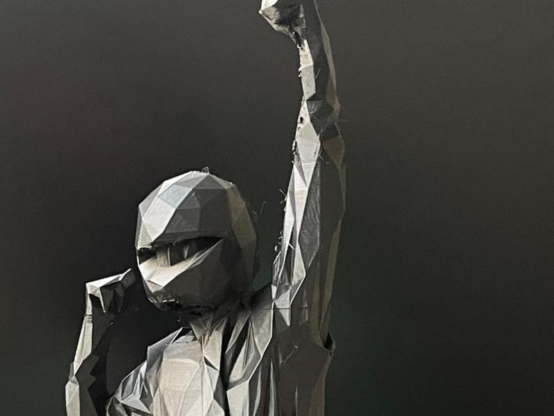 The Victorious Racer