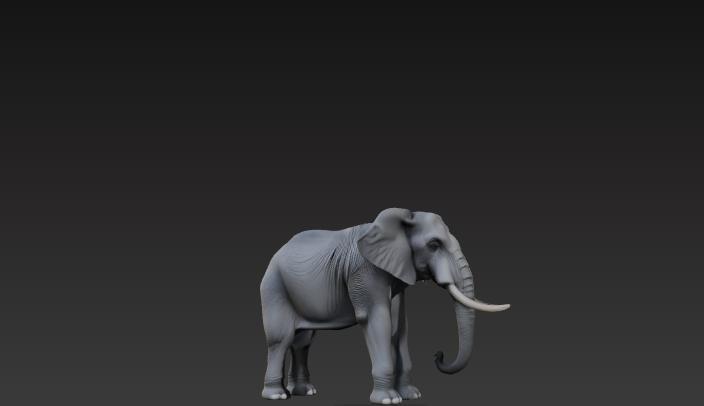 Realistic Elephant 3D Model - High-Quality STL for 3D Printing