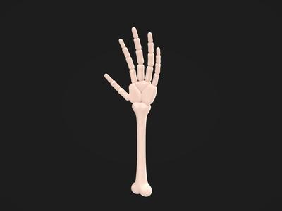 Arm Bone