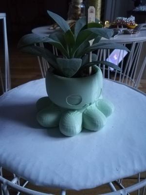 Octopus pot