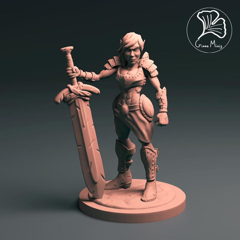 Elyn the half-elf warrior