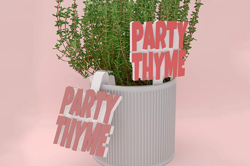 Plant puns labels- Party Thyme
