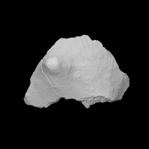 Cord-marked vessel base