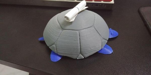 rubber rope turtle