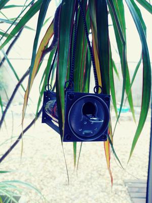 Garden house for auxiliary insects