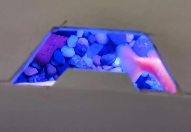 Ciano Aqua Light 20 Askoll CAP   